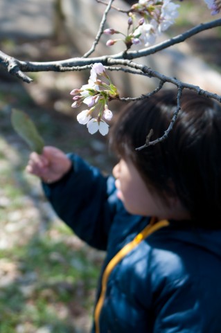 春や秋の子供の服装は 4月から保育園 0 2歳子供服選びのポイント