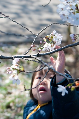 0歳 1歳 保育園の入園式の服装は ママやパパの服装はどうする