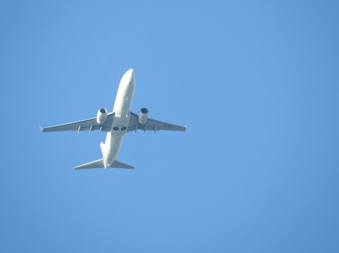 海外旅行や帰省など赤ちゃんと旅行できるのはいつから 飛行機 新幹線 車を徹底比較